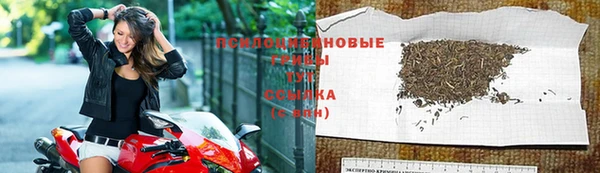 стаф Белоозёрский