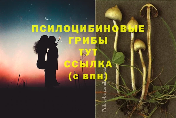 прущая мука Богданович