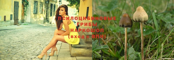 СК Богородицк