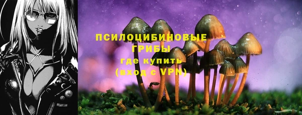 гашиш Белокуриха