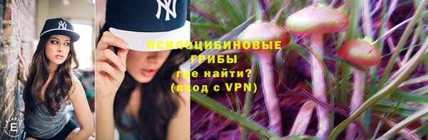 СК Богородицк