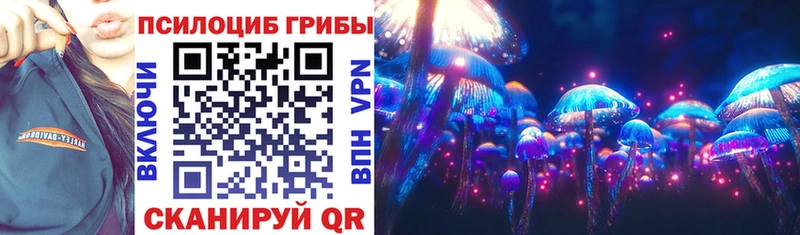 хочу Кемерово Галлюциногенные грибы Cubensis